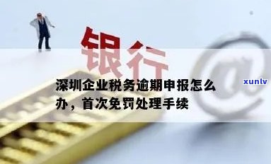 深圳年报逾期申报怎么办？详解办理流程及所需手续