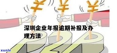 古树普洱生茶的独特魅力：口感、功效与作用解析