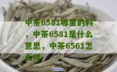 中茶6581，探索茶叶新品种：了解中茶6581的独特之处