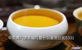 茶叶主产地究竟有哪些？探究全球茶叶主要产区及其优劣