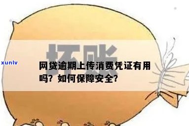 逾期上传消费凭证怎么办，怎样解决逾期上传消费凭证的疑问？