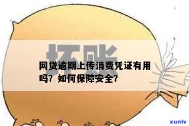 逾期上传消费凭证-逾期上传消费凭证违法吗