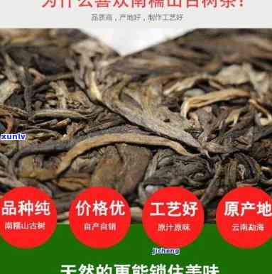 雨林古树茶快哉多少钱，探寻雨林古树茶的美妙滋味：价格解析与品鉴指南