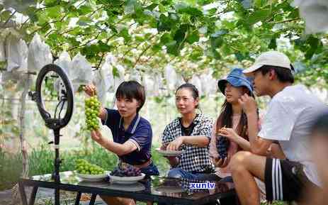 中原消费逾期一年，警示：中原消费一年未还，警惕逾期风险！