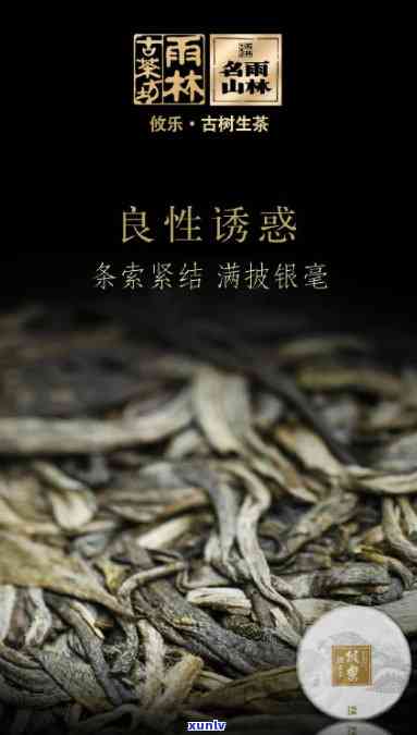 雨林古茶坊快哉价格-雨林古树茶快哉多少钱