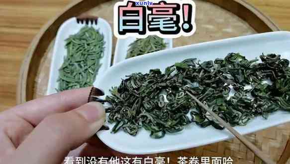 银丝茶的功效与禁忌是什么，探究银丝茶的神奇功效与饮用禁忌，健养生不能忽视！