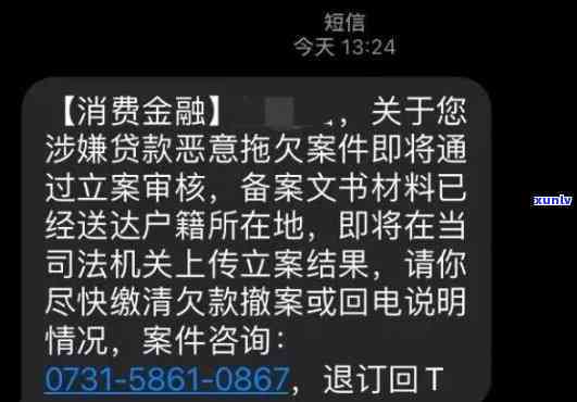 八角亭易武百年华诞，「百年华诞」八角亭易武，见证岁月与技艺的沉淀