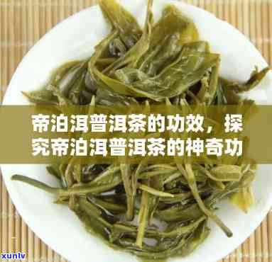 帝泊洱茶有什么效果-帝泊洱茶有什么效果和作用