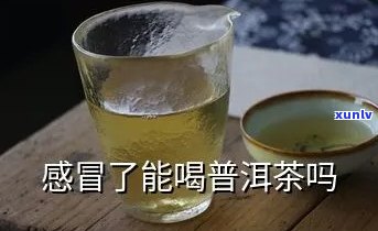 感冒喝潽洱茶好不好-感冒可以喝潽洱茶吗