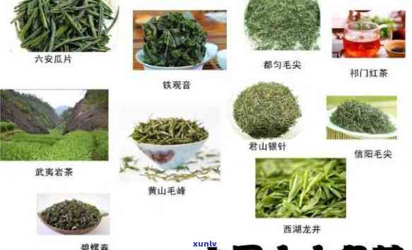 中国十大名茶特点和功效，探索中国十大名茶的独特特点与神奇功效