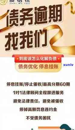 重庆红玛瑙装饰最新消息：今日公司新闻，价格分析与行业动态