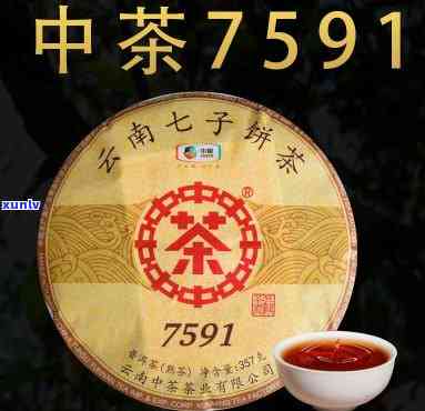 中茶7591什么香-中茶7591怎么样