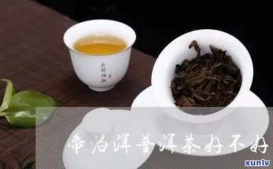 帝泊洱茶到底怎么样-帝泊洱茶到底怎么样啊