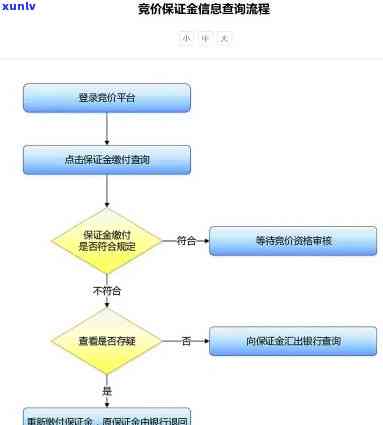 深圳拍牌缴费逾期后怎样解决？详细步骤解析