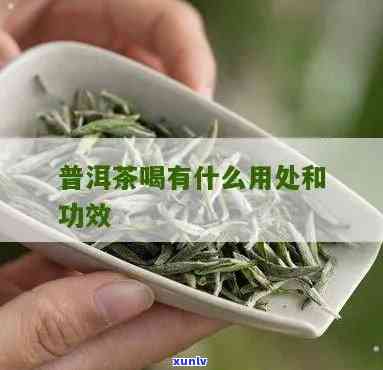 晋洱茶的功效与作用及副作用，深度解析：晋洱茶的功效、作用与潜在副作用