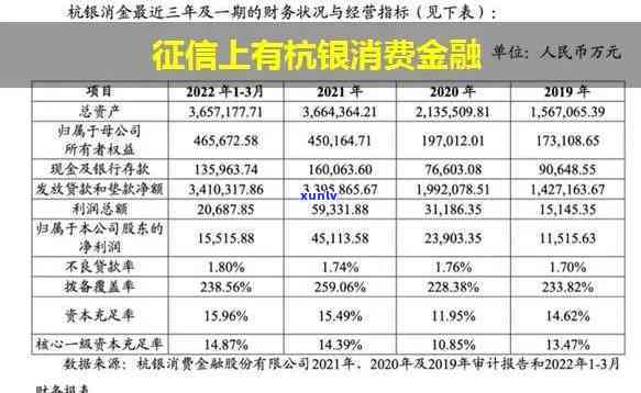 上出现上海诚消费金融股份：查询  及作用解析