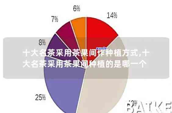 a货翡翠标牌-翡翠标a货什么意思