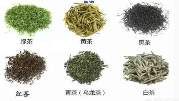 名茶可分为哪三大类，探秘名茶世界：三大主要分类解析