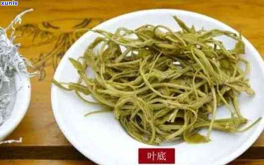 蔓茶的功效与禁忌及副作用，全面解析：蔓茶的神奇功效、饮用禁忌和潜在副作用