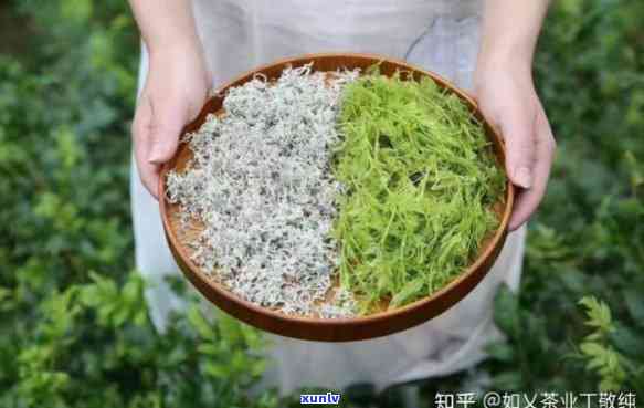 蔓茶的功效与禁忌及副作用，全面解析：蔓茶的神奇功效、饮用禁忌和潜在副作用