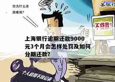 上海银行逾期2万怎么办？逾期还款9000元3个月作用大！