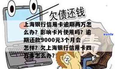 上海银行逾期2万怎么办？逾期还款9000元3个月作用大！