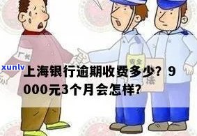 上海银行逾期2万怎么办？逾期还款9000元3个月作用大！