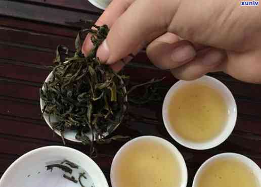 仙山八骏茶是名茶吗-仙山八骏茶是名茶吗还是名茶