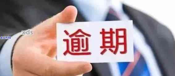 上海逾期申报，警示：上海企业勿逾期申报，以免遭受处罚