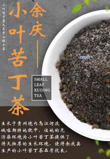 贵州余庆小叶苦丁茶价格及长期饮用利弊全解析