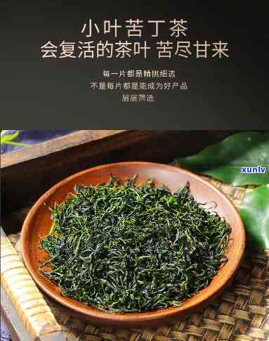 余庆小叶苦丁茶价格-余庆小叶苦丁茶价格多少