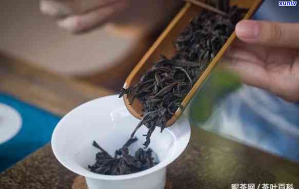 武夷山的名茶属于什么茶类？