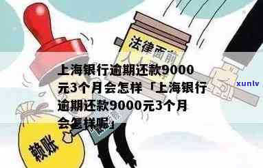 上海银行逾期还款9000元3个月的结果及处罚是什么？