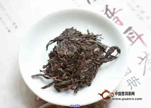 澜沧古茶001真假对比：详细图解与分析