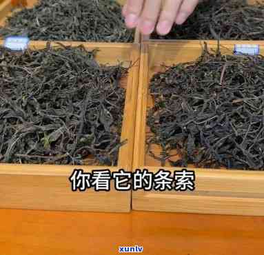 根普洱速溶茶价格-根和普洱的功效