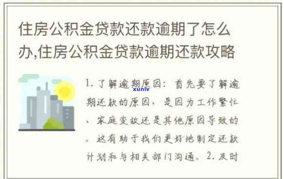 有钱花逾期了利息罚息可以勉和减吗，怎样协商有钱花的逾期罚息？