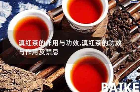 勐红茶功效与作用-勐红茶功效与作用及禁忌