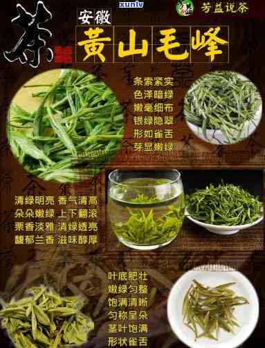 黄山十大名茶：详细介绍与排名