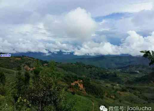 探索勐茶区：山头景区全览及推荐游玩地