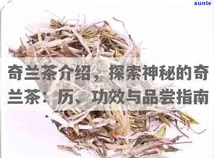 普洱冰岛茶生茶的卖点：独特口感与珍贵品质，357g价格实