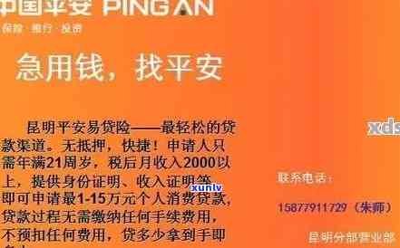 平安易贷逾期2年会怎样，逾期两年：平安易贷的严重后果