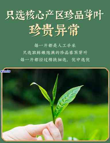 贵州贵茶绿宝石价格-贵州贵茶绿宝石价格表