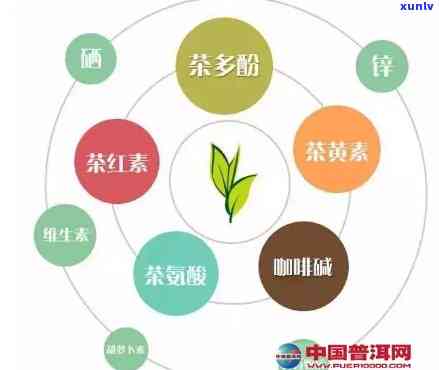 占茶：色泽与功效全解析