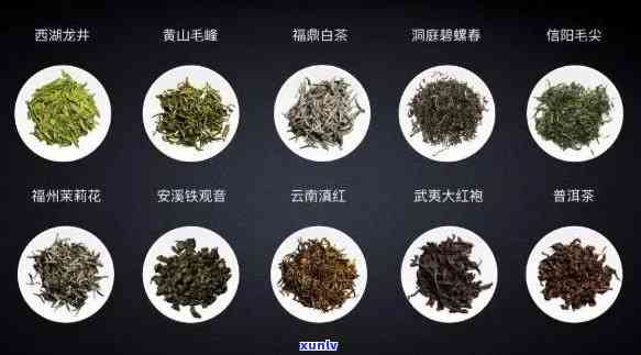 世界名茶是什么茶，探索世界：揭秘那些备受瞩目的名茶种类