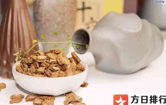 牛蒡茶的功效与用量是多少克，探究牛蒡茶的神奇功效及其适宜的每日饮用量