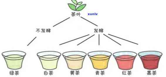 探究各种茶的茶多酚含量：以毫克为单位