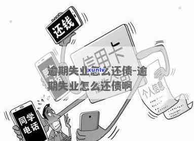 鸿达兴业逾期债务解决方案：怎样还款？