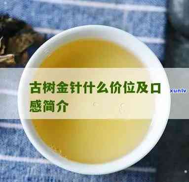 古树金针简介，探秘古树金针：一种珍贵的茶树叶简介