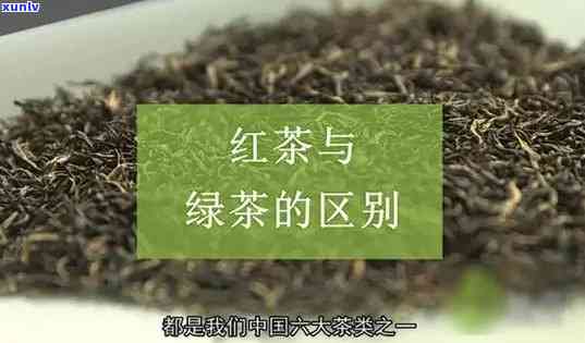 红茶的原材料是绿茶吗？详解其来源与区别