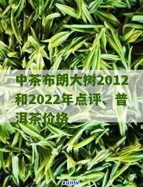 中茶布朗山大树茶：2000年-2012年的时光印记